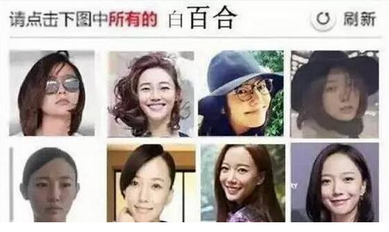 從12306看官方網(wǎng)站的壟斷