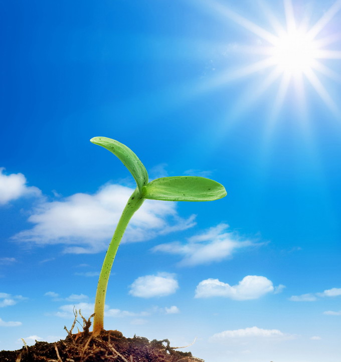 給我一點陽光還您一片生機(jī) 太倉人才網(wǎng)展望2016年